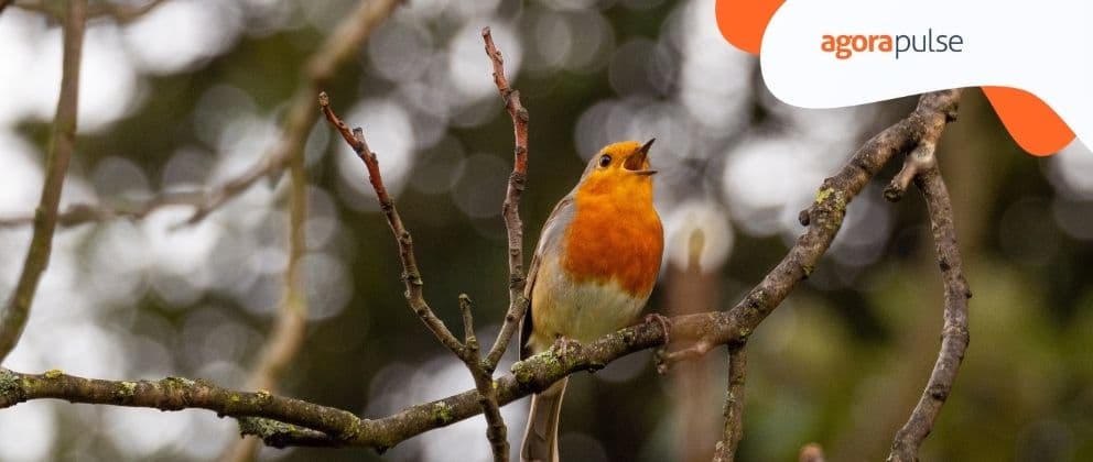 Feature image of Easy Ideas to Turn Twitter Trending Topics into Gold