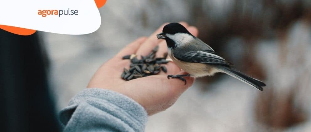 Feature image of How to Build a Brand on Twitter in 11 Easy Steps