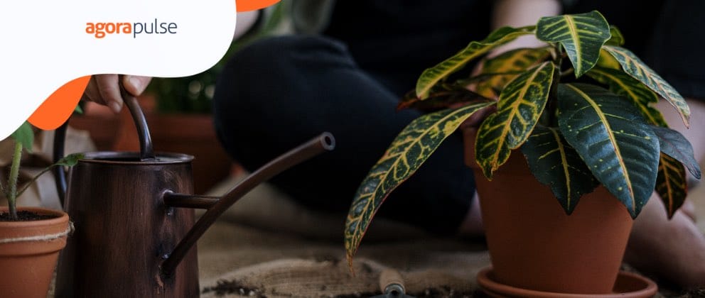 Feature image of Start Growing Your Twitter Profile With These Tips and Tricks