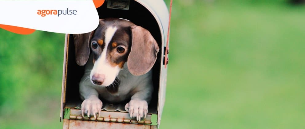 Feature image of 20 Social Media Post Types That Perform Well (and How to Use Them)