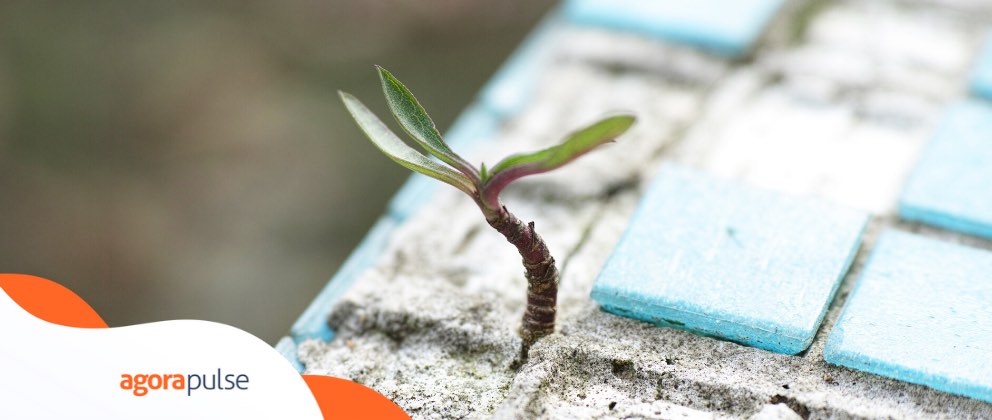 Feature image of Survival Tips for a Social Media Agency in a Tough Sector