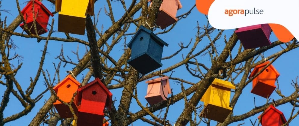 Feature image of What to Tweet: Content Tips for Experienced Social Media Managers