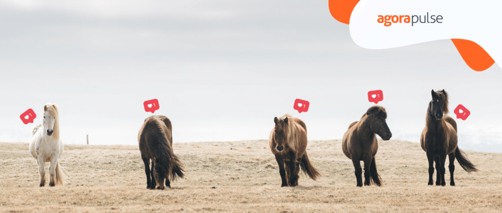 Feature image of Les dessous de 5 stratégies qui cartonnent sur Instagram